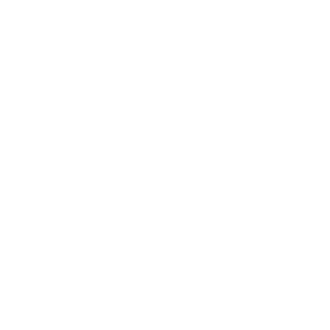 555-smiles-through-cars-logos-WHITE-40T2