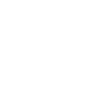 baylor-medical-center-at-grapevine-logo-smiles-through-cars-partners-WHITE-40T