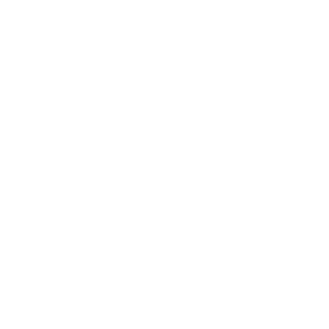 borough-of-prospect-park-smiles-through-cars-logos-WHITE-40T
