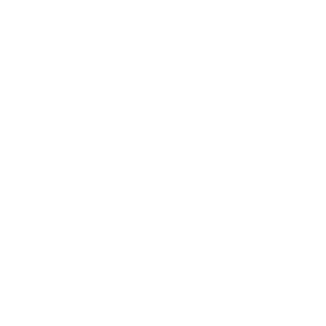 city-of-new-york-police-department-logo-smiles-through-cars-partners-WHITE-40T