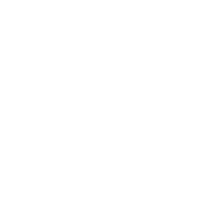 horizon-specialty-hospital-of-las-vegas-logo-smiles-through-cars-partners-WHITE-40T