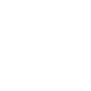 mount-sinai-hospital-logo-smiles-through-cars-partners-WHITE-40T