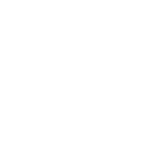 mount-sinai-south-nassau-logo-smiles-through-cars-partners-WHITE-40T