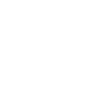 nemours-childrens-hospital-logo-smiles-through-cars-partners-WHITE-40T
