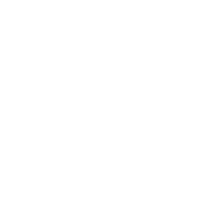 north-shore-lij-logo-smiles-through-cars-partners-WHITE-40T