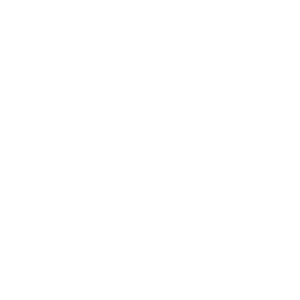north-shore-univeristy-hospital-logo-smiles-through-cars-partners-WHITE-40T
