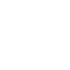 palm-beach-childrens-hospital-logo-smiles-through-cars-partners-WHITE-40T