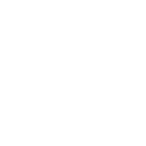 palm-beach-gardens-medical-center-logo-smiles-through-cars-partners-WHITE-40T