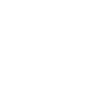 saint-jude-childrens-research-hospital-logo-smiles-through-cars-partners-WHITE-40T