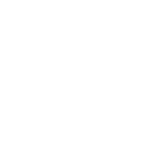 the-childrens-hospital-at-palms-west-logo-smiles-through-cars-partners-WHITE-40T