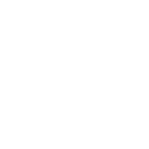 the-port-authority-of-ny-and-nj-logo-smiles-through-cars-partners-WHITE-40T
