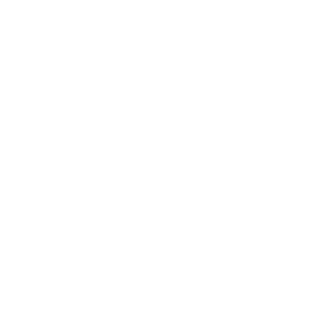 us-army-logo-smiles-through-cars-partners-WHITE-40T