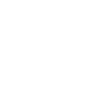 us-customs-and-border-protection-logo-smiles-through-cars-partners-WHITE-40T