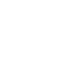 westchester-medical-center-logo-smiles-through-cars-partners-WHITE-40T